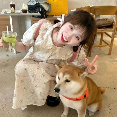 鲸鱼之友